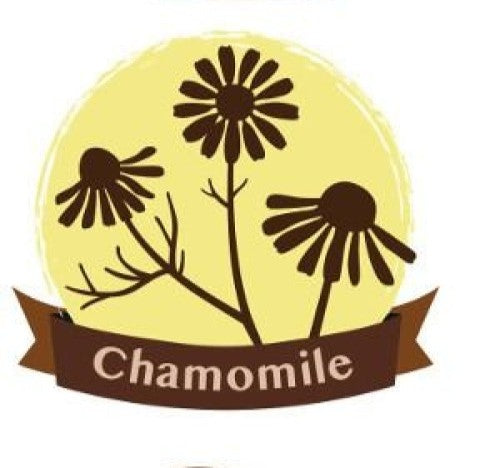 Crayola Chamomile Revive Aroma Silly Putty