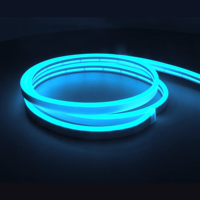LED Neon Lights 12V Blue LED Strip Lights