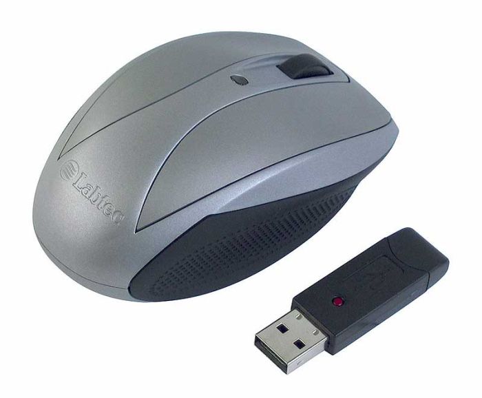 Labtec Wireless Laser Mouse for Notebooks