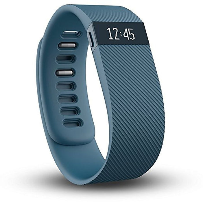 Fitbit Charge  Wireless Activity Wristband  SLATE LARGE