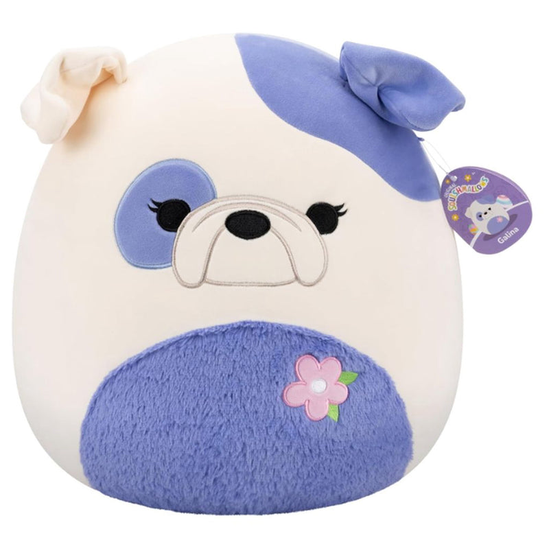 Squishmallows 14" Galina The Cream and Periwinkle Bulldog